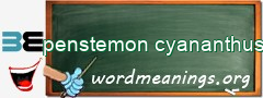 WordMeaning blackboard for penstemon cyananthus